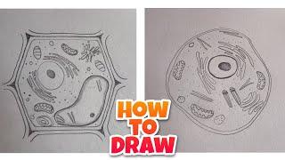 how to Draw Plant and Animal Cell Diagram, Drawing Plant cell/Animal cell Diagrams