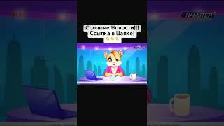 Срочные Новости! HamsterKombat Ru. TikTok канал Хомяков На Русском языке. Подпишись и не пропусти