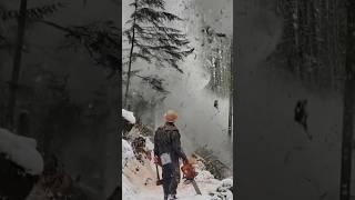 Be Gone Winter! #mitchzenobitrees #shorts #lumberjack #timberfaller #logging #chainsaw #husqvarna