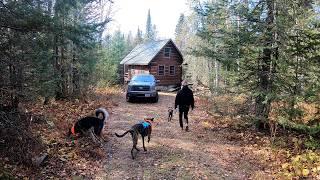 Off-Grid Cabin Deep Clean, Moving to the Property