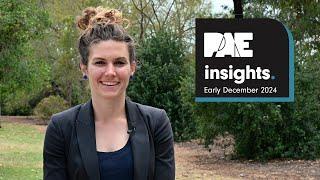 Insights Early December 2024