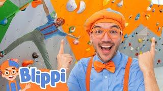 Can Blippi Climb the Tallest Wall? ‍️ Blippi Goes Rock Climbing | Educational Videos for Kids