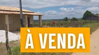 ESSA PROPRIEDADE POSSUI MINA D'ÁGUA E ESTÁ À VENDA | CASA NOVA E TERRA BOA