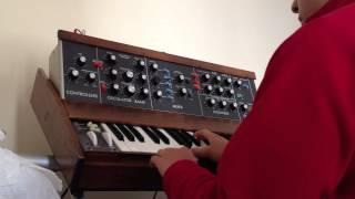 Triple Oscillators + White Noise on minimoog model D