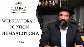 Weekly Torah Portion "Behaalotcha" /  rabbi Shmuel Kravitsky / Chabad Russian Center Torah Club