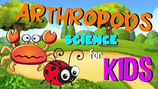 Arthropods | Science for Kids