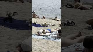  Sunny day at Barcelona beach Spain