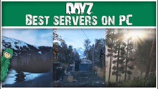 The Absolute BEST PC Servers on DayZ | 2025