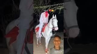 Allah ka bheja hua Banda short video md shamsher alam 09