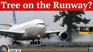 Unbelievable! Plane Strikes Tree During Takeoff