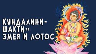 КУНДАЛИНИ-ШАКТИ :: ЗМЕЯ И ЛОТОС