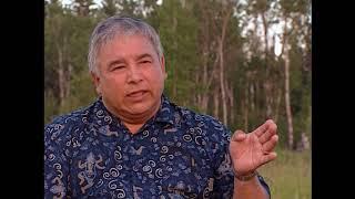 Jim Settee: The Way Home - Chapter 12: Timber Surrender