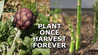 7 Perennial Vegetables You Can Grow Once and Harvest Forever!