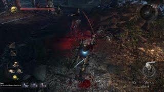 Nioh: Complete Edition amrita glitch?