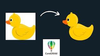 Image Tracing in Coreldraw | Duck Vector in coreldraw for beginners  | Technophile