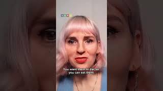 Vegans vs Hunter: Heated Debate
