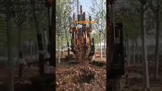 Loongsheen excavator attachment series -tree planting machine .How move a tree in 1 Minutes