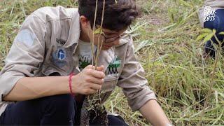 Be Fearless: Felix Finkbeiner and Plant-for-the-Planet