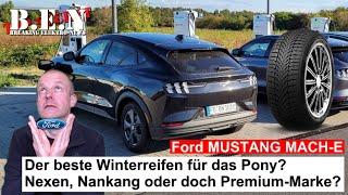 Der beste Winterreifen für meinen Ford MUSTANG MACH-E - Nexen, Nankang oder doch Premium-Marke?