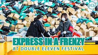 China’s express in a frenzy at ‘Double Eleven’ Festival