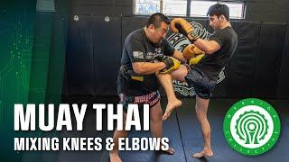 Muay Sok Training - Coaching Elbow Fighters to Use Knees in Muay Thai with Jason Park