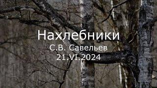 С.В. Савельев - Нахлебники