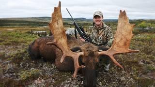 Hunting Massive Bull Moose in Remote Newfoundland | Canada in the Rough