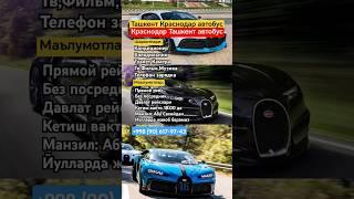 ташкент-краснодар автобус прямой рейс давлат рейслари без посредника #tashkent #krasnodar #avtobus