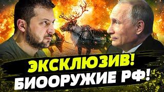  Зима РЕШИТ ВСЁ! Боевые ОЛЕНИ! Последний ШАНС НА ПОБЕДУ! Путин ПРОВАЛИТСЯ, или...