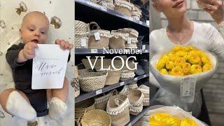 VLOG Ноября| История одного букета | 5 месяцев | Про прикорм | Новые умения | Поездки по магазинам