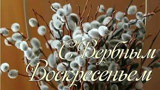 С Вербным Воскресеньем! Красивое Поздравление С Вербным Воскресеньем