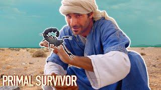 Handling a LETHAL Desert Scorpion | Primal Survivor