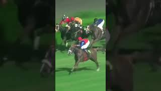 jockey safdar Hussain win #horser #horseracing #horsesport