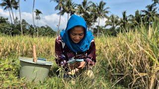 SUAMI PERGI TINGGALKAN HUTANG RATUSAN JUTA || JANDA DESA ANAK SATU MENDERITA || KEHIDUPAN JANDA DESA