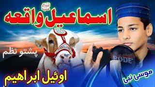 Pashto new Nazem || Owayal Ibrahim hajire zwe di tayar ka by Musa Nabi