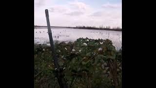 дьикимдэ 2021 весна. охота на уток gyimde 2021 spring.  duck hunting