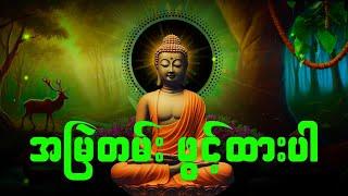  ပဋ္ဌာန်းပါဠိ နှင့် ပရိတ်ကြီး(၁၁)သုတ်, ဗောဇ္ဈင်္ဂသုတ်​, ဓာရဏပရိတ်တရားတော်များ  #dhammakatha