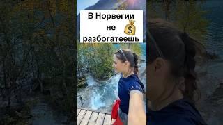 В Норвегии не разбогатеешь #норвегия