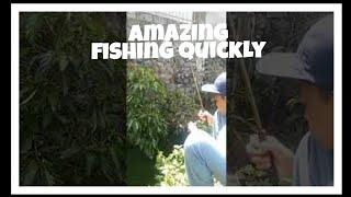 skills fishing quickly #shorts#