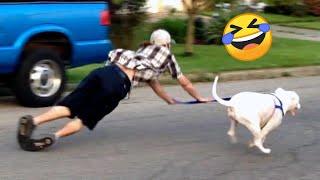 TRY NOT TO LAUGH  Best Funny Videos Compilation  Memes PART 235