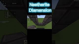 SECRET NETHERITE AND WITHER SKULL DIMENSION 