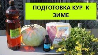 Зооветеринарная подготовка кур несушек к зиме.