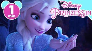 DIE EISKÖNIGIN 2: Lieblingsszene – Elsa trifft Bruni | Disney Junior