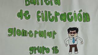 Barrera de Filtracion Glomerular