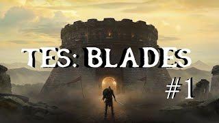 The Elder Scrolls: Blades. Прохождение #1. Знакомимся с миром