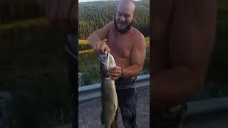 Drinking a beer from a giant pike fishes mouth #fishing #montana #beer #spearfishing #diving #free