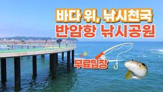 캠핑과 낚시, 바다 낭만을 즐겨요~ 반암항 낚시공원 #고성낚시천국