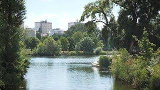 Naturbadeplätze in Wien