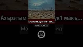 Напоминание на Кабардинском Ахърэтым гызу къи1ук1 макъ