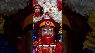 short video# Tarapith Hindu temple of the evening darshan Tara#